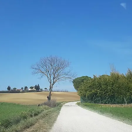 Ferienhaus Ferrara Coriano